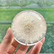 NouvoCrescent Real Dandelion Paperweight - Crystal Resin Ball 2.75in (70mm) - Clear Resin Dandelion Flower Globe w/Flat Bottom - Sphere Figurine Office Paperweight