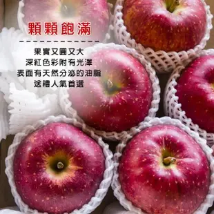 【切果季】日本青森大紅榮蘋果36粒頭6顆x2盒(1.7kg_頂級手提禮盒)