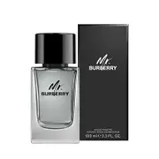 Burberry Mr Burberry Eau de Toilette 100ml