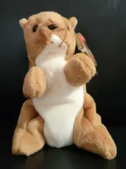 TY BEANIE BABY NUTS THE SQUIRREL RARE RETIRED ERRORS NWT ORIGINAL OWNER
