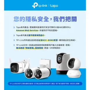 TP-Link Tapo C110 2K 300萬 WiFi監視器 攝影機 夜視高畫質 雙向語音 APP (不含記憶卡)