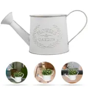Outdoor Watering Can Pot Flowers Succulent Planters Indoor Portable Container