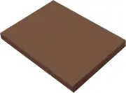 (Formerly Sunworks) Construction Paper, Dark Brown, 9" X 12", 100 Sheets
