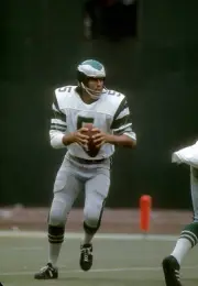 Quarterback Roman Gabriel Philadelphia Eagles drops back to pass - 1974 Photo 1