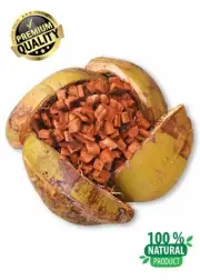 Coconut Husk Chips Orchids Anthurium Dry Organic Coco Coir Fiber Growing Media