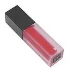 STAGENIUS Matte Lip Gloss Unfading Waterproof Lip Makeup Cosmetic Lip Gloss WAS