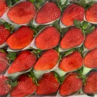 在飛比找蝦皮商城優惠-【日本德島櫻花水蜜桃草莓】 明年見 水蜜桃呈圓錐形 不同與一