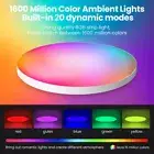 Dimmable Smart Ceiling Lamp with APP Control for Bedroom - wifi LED Lights