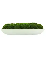 Creative Displays Moss Arranged in Glossy Oblong Planter