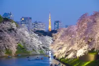 在飛比找雄獅旅遊優惠-【東京】宿東京瑞江飯店．樂桃自由行5日｜含稅