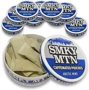 Pouches - Arctic Mint - Nicotine-Free and Tobacco-Free - 10 Cans - 15 Energy Pouches Per Can