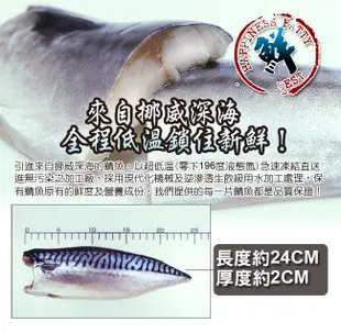 【食在幸福】挪威深海薄鹽鯖魚片 (190g/包) (5.2折)