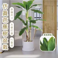 在飛比找蝦皮購物優惠-森沐 仿真植物 芭蕉樹 仿真盆栽 居家裝飾 室內 室外 植栽