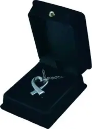 Remembrance Heart Pendant Urn w/20" chain & black velvet display box