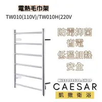 在飛比找蝦皮購物優惠-Caesar 凱撒衛浴 電熱毛巾架 毛巾架 TW010 TW