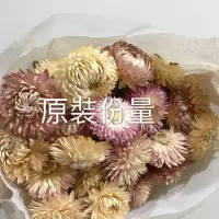 在飛比找蝦皮購物優惠-歐洲進口花材/乾燥花/原裝份量/只有一束/麥桿菊