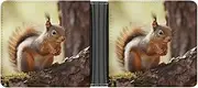[QSKDLAC] Leather Wallet Slim Durable Credit Card Holder Personalized Funny Squirrel Printing Wallet For Men & Women Perfect For Work Travel, style, One size, Foldable Pu Wallet, Style, One size