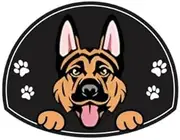 Personalized Stainless Steel Dog ID Tag Name Plate Anti-Lost Pet Name Tag Pendant Custom Engraved Cat and Dog Nameplate Label Pet Collar Supplies Accessories,German Shepherd, Black