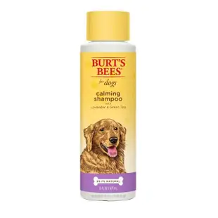 【BURT’S BEES】薰衣草茶花沐浴露16oz/473ml(寵物洗毛精/全犬種)