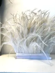 50cm of White Beige Real Emu Feather Plume Fringe Ribbon Trim Tassel DIY Craft