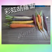 在飛比找蝦皮購物優惠-彩虹胡蘿蔔種子一份500粒籽$100