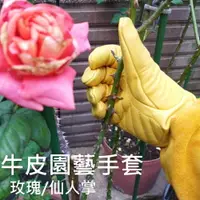 在飛比找樂天市場購物網優惠-【牛皮手套-1雙】防刺手套 玫瑰 火龍果 專業園藝 修剪 摘