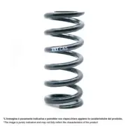 Spring Superlight v2 c65 65x575lbs C65-38.5-575 Extreme Racing Shox Suspension