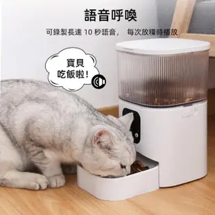 【周周】萌寶智能自動餵食器 視訊版(寵物餵食器 APP連線)