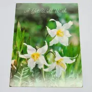 Vintage Get Well Card “Sending Cheerful Message” Blooming Flowers Art P4