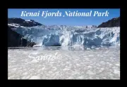 Kenai Fjords National Park Alaska Flexible Fridge Magnet -0180