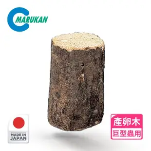 【Marukan】巨型蟲用天然產卵木(日本製 甲蟲 鍬型蟲 昆蟲 小動物 洞穴 木頭 擺飾)