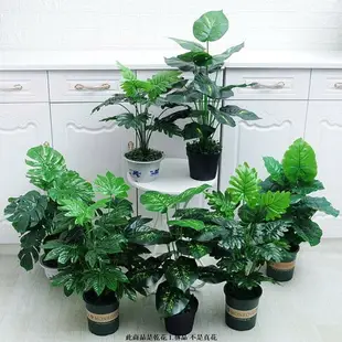 仿真植物 龜背芋盆栽 懶人盆栽 龜背竹 植栽 仿真盆栽 盆栽裝飾 假花盆栽 永生花盆栽 室內客廳裝飾仿真綠植盆栽