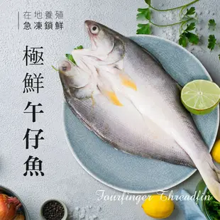【巧食家】 台灣午仔魚201~250gX5尾 (三去.真空包裝)