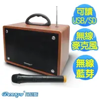在飛比找momo購物網優惠-【Dennys】USB/SD/FM藍芽多功能擴大音箱-無線麥