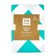 Pottery Barn Teal White Cotton PB Teen Chevron Pillow Case Sham Cover Euro Size