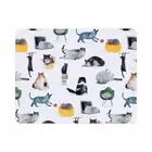Maxwell & Williams placemat set Feline Friends 4 pcs. placemats, MDF 34x26.5cm