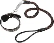 BESPORTBLE Ergonomic Design Dog Leash and Collar Set Pet Walking Rope Long Dog Spring Leash