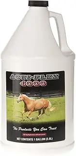 Acti Flex Joint Compound Gallon
