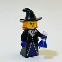 在飛比找蝦皮購物優惠-Lego 萬聖節 限定人偶 自組人偶 女巫