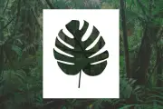 Monstera Leaf Reusable Stencil