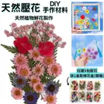 【A-ONE 匯旺】真花材包 真花壓花 香薰蠟燭押花 植物標本 乾花材料包 書籤DIY卡片裝飾花