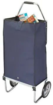 Deluxe Foldaway Carryall