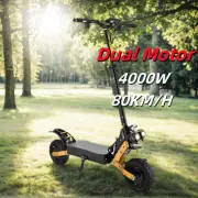 4000W Electric Scooter E-Bike 80KM/H 70KM Range 11" Tyre Foldable Off Road