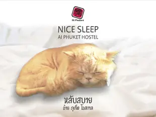 布吉艾爾青年旅館Ai Phuket Hostel