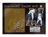 在飛比找Yahoo!奇摩拍賣優惠-日本職棒 NPB 2016年度MVP & Bestnime 