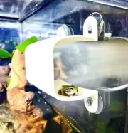 Gecko Frog Wall Decor Hide For Enclosure Amphibian Reptile Tank Hammock Supplies