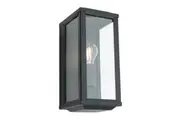 Anglesea 1lt Exterior Black Light