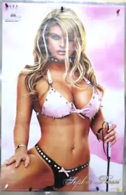 ROLLED 2005 SOPHIA ROSSI MODEL CHEESECAKE PIN UP 22X34 POSTER SCORPIO 1225