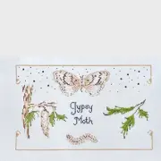 Plum Stitchery hand painted needlepoint canvas Gypsy Moth change nature
