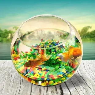【免運】圓型小魚缸圓形金魚缸玻璃桌面創意魚缸烏龜缸小型造景水培花瓶 HGC55686-台灣嘉雜貨鋪